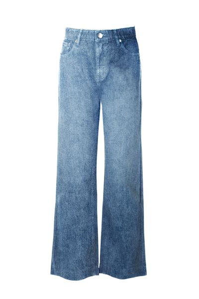 PLAIN JANE JEAN