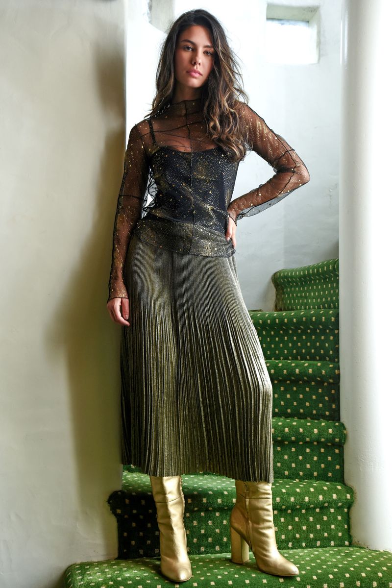									PLEATS & THANK YOU SKIRT
								, 			A STARRY NIGHT TOP
			